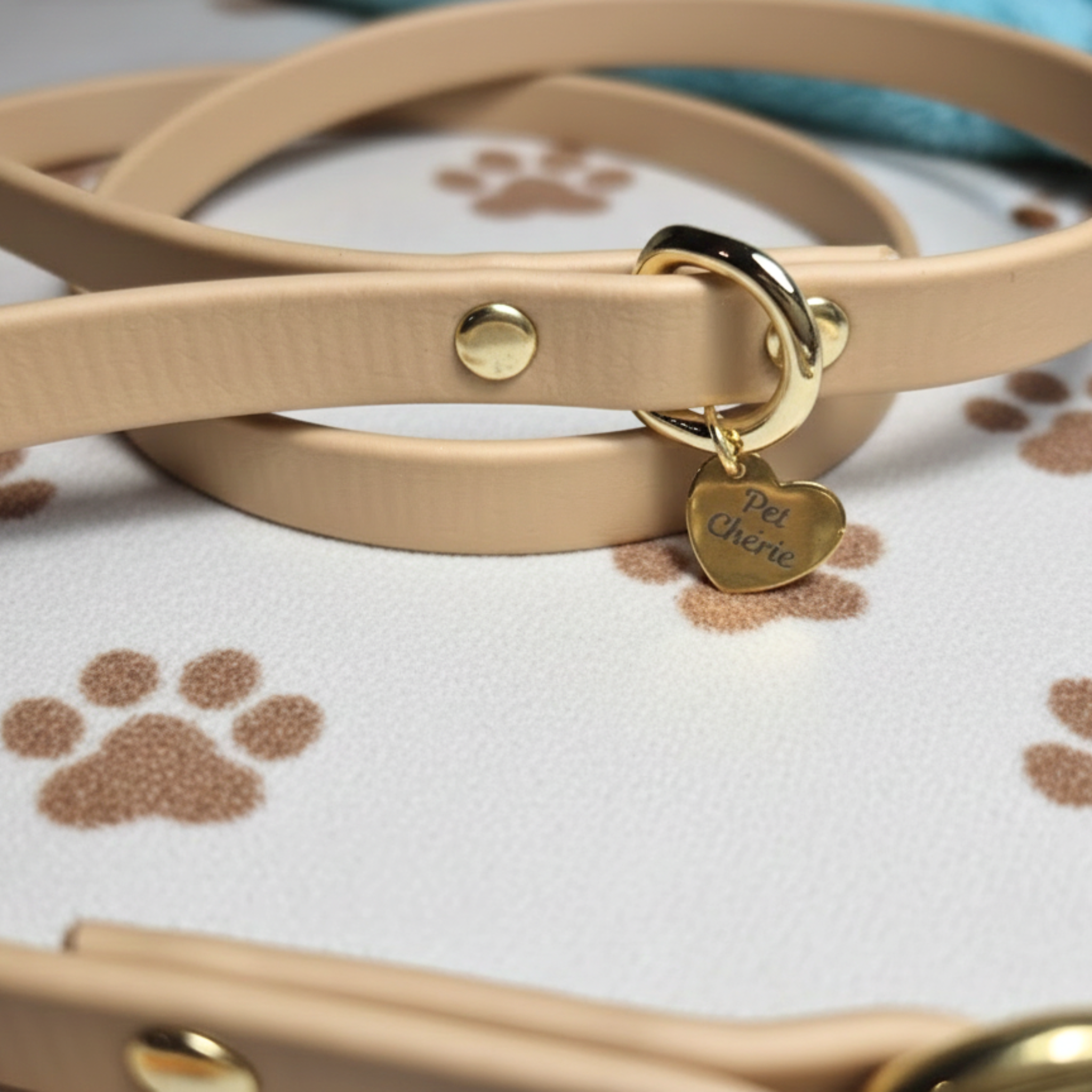 Guinzaglio Lead Gold in Biothane per Cani